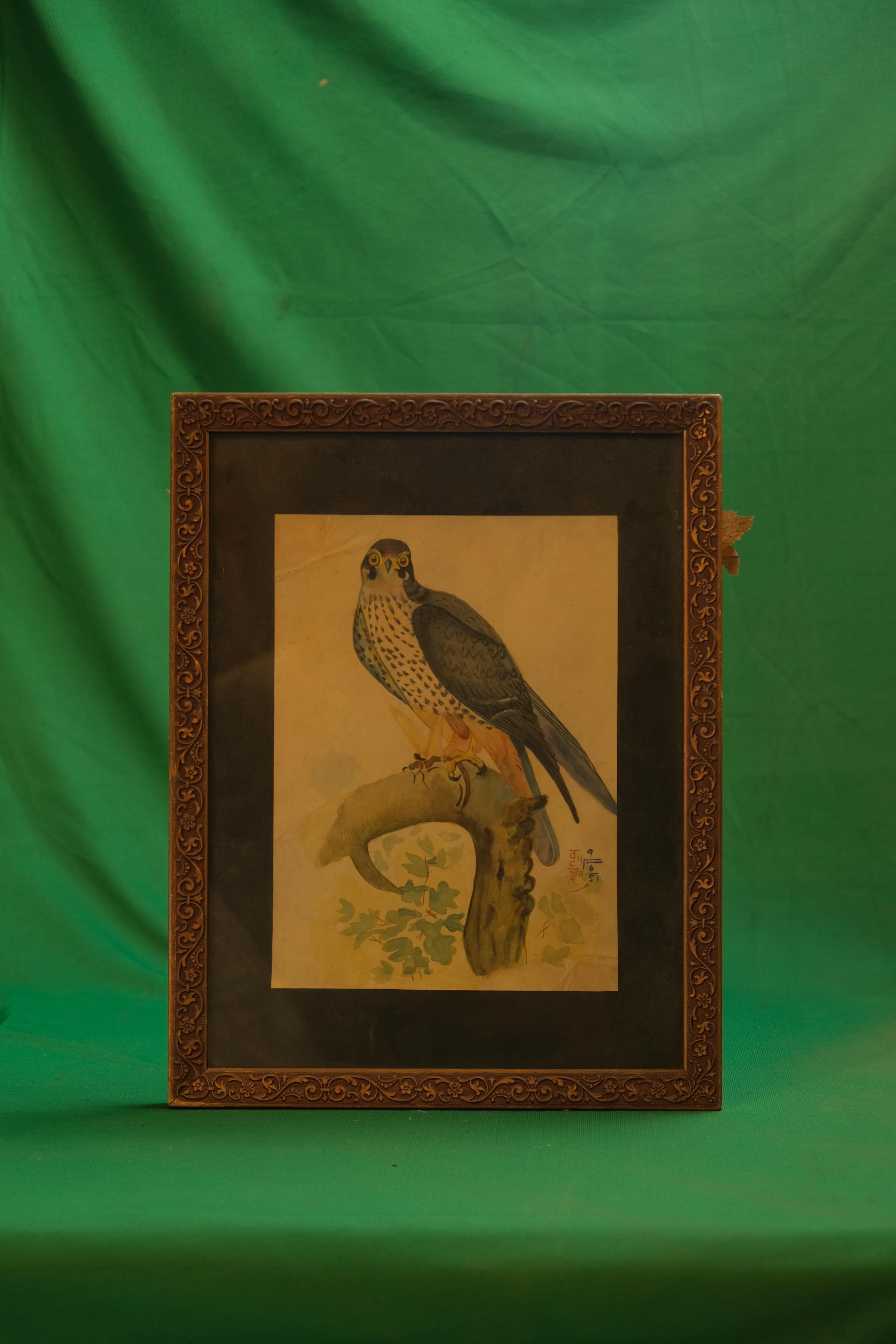 Falcon on a Gnarled Branch