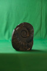 Carved Black Stone Vishvarupa Stele